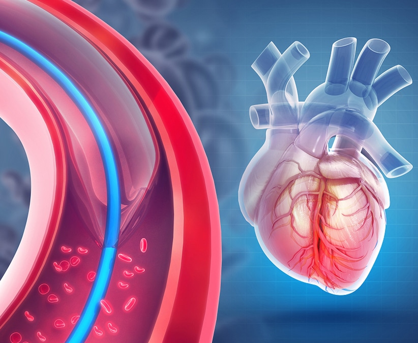 What Makes Us Different